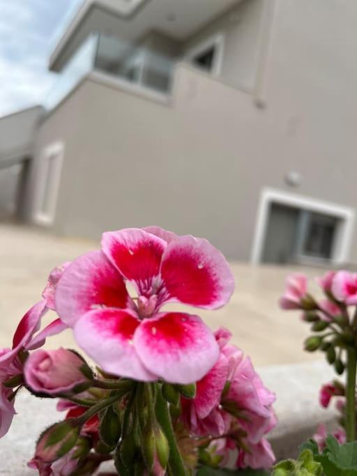 Villa Maria Eirini Lechaio Eksteriør bilde